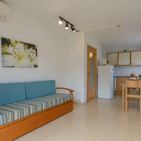 Sant Jordi Zeus Basic
