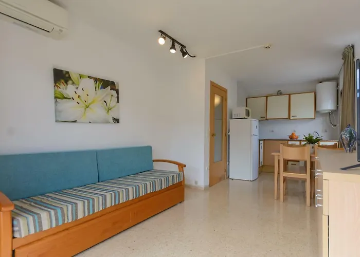 Sant Jordi Zeus Basic